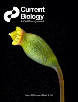 Current Biology 36 (13)
